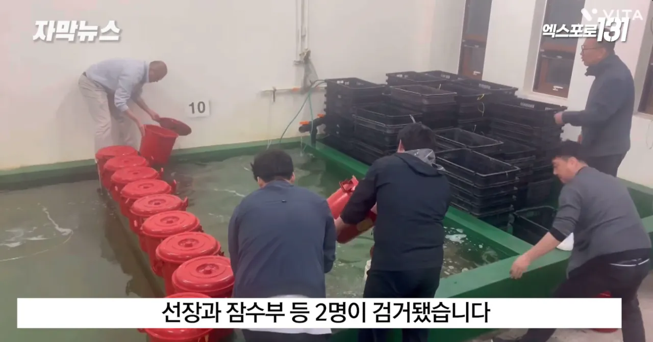 중국의 불법어업이나 일본의 포경산업을 욕하면 안되는 이유