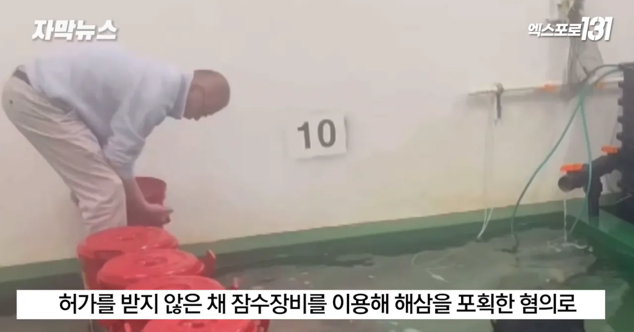 중국의 불법어업이나 일본의 포경산업을 욕하면 안되는 이유