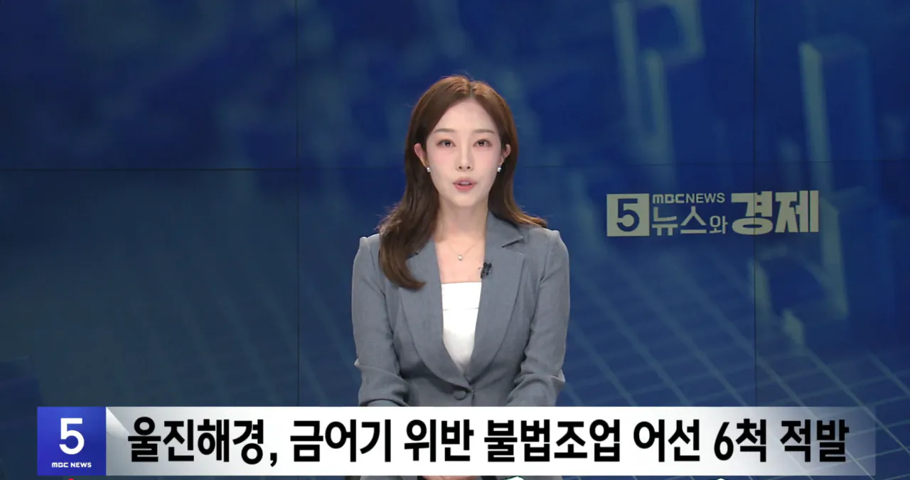 중국의 불법어업이나 일본의 포경산업을 욕하면 안되는 이유