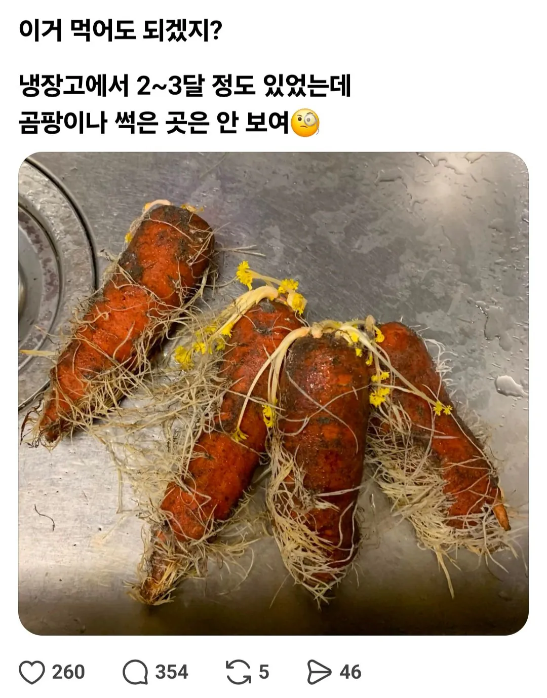 당근, 먹는다 vs 버린다
