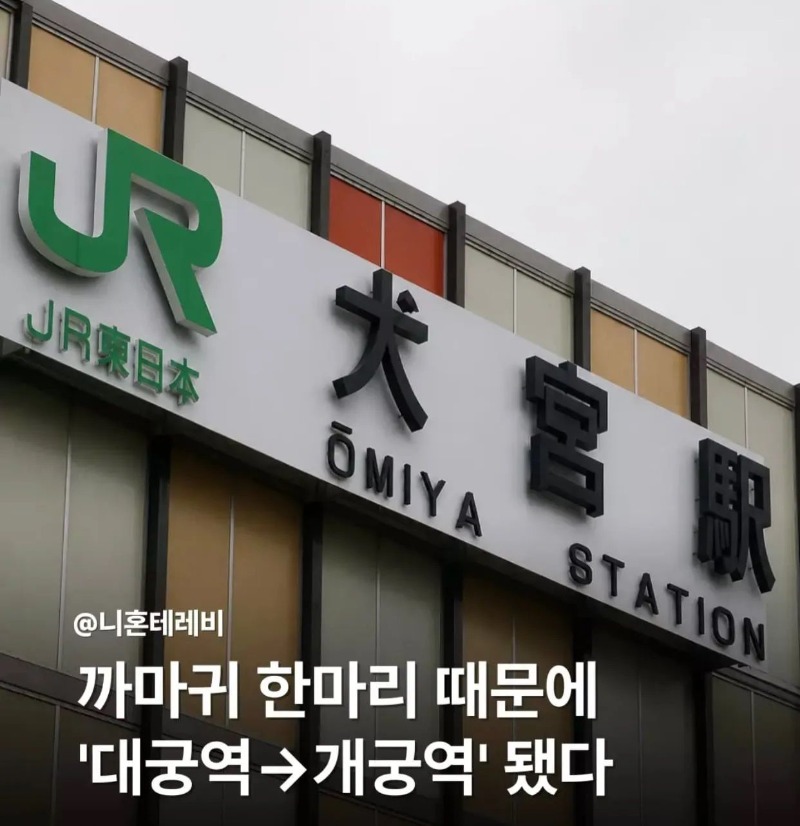 까마귀때문에