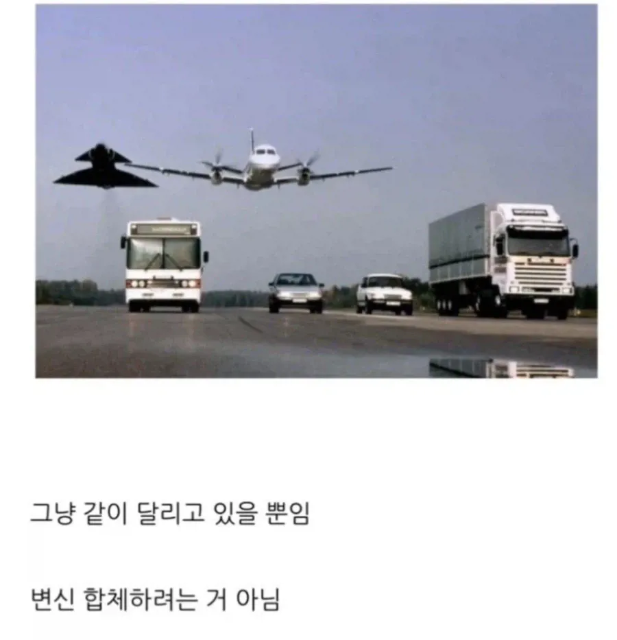 그냥 같이 달리고 있을 뿐인 사진