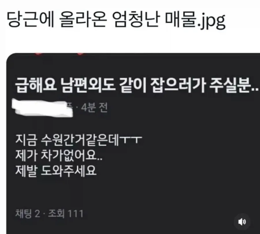 당근에 올라온 엄청난 매