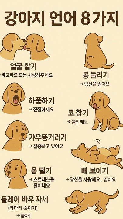 강아지 언어
