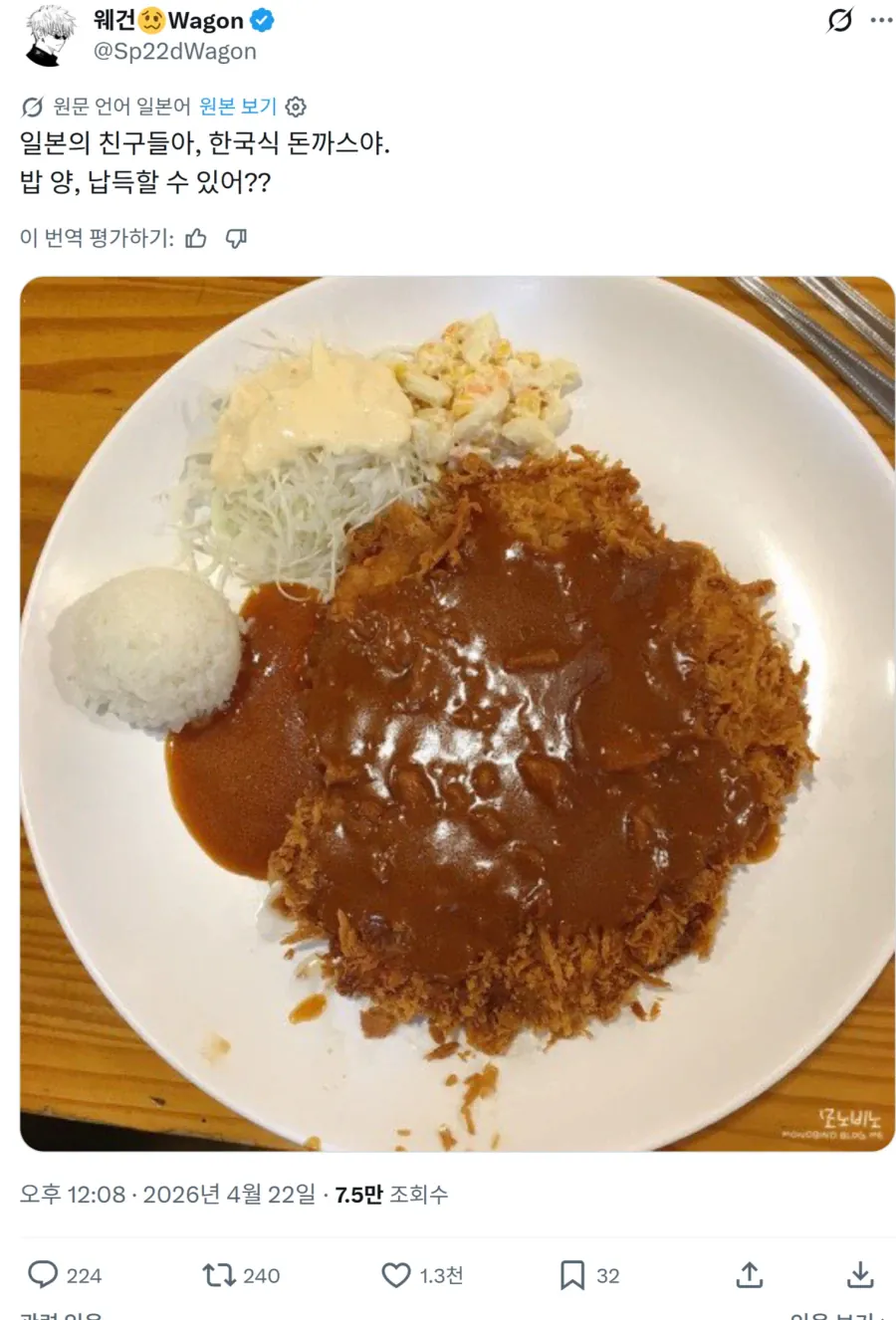 한국 돈까스 정식 밥 양 본 일본인들 반응