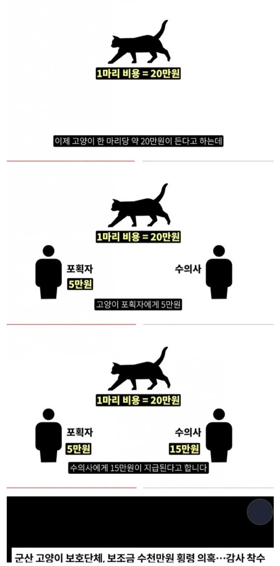 야생고양이 중성화사업이 노다지인 이유