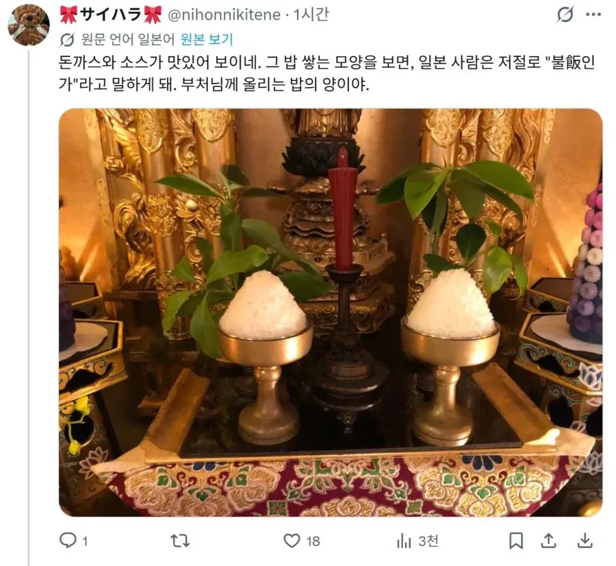 한국 돈까스 밥에 대한 일본인들 반응