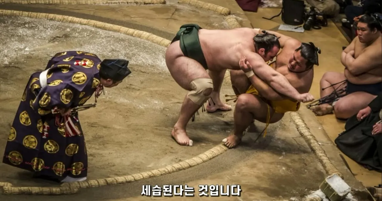 스포츠 심판직을 세습하는 종목