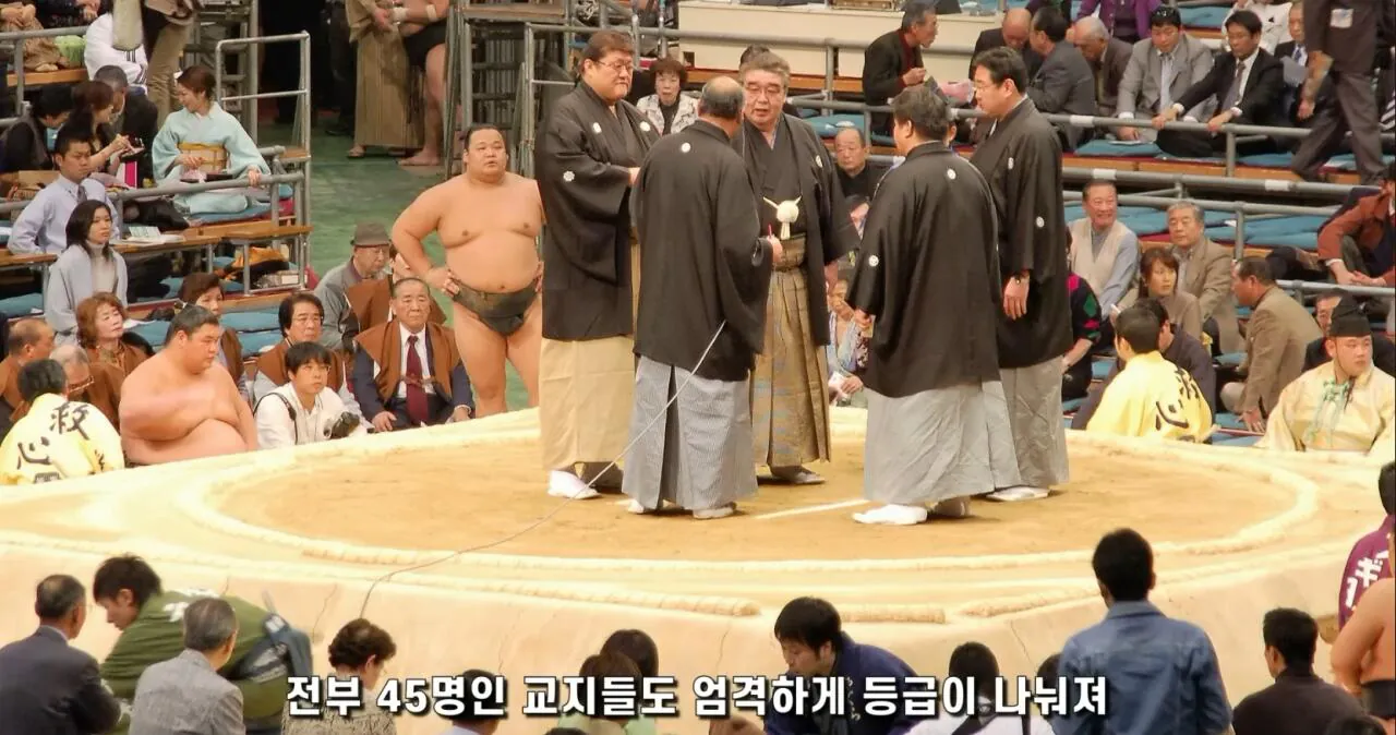 스포츠 심판직을 세습하는 종목
