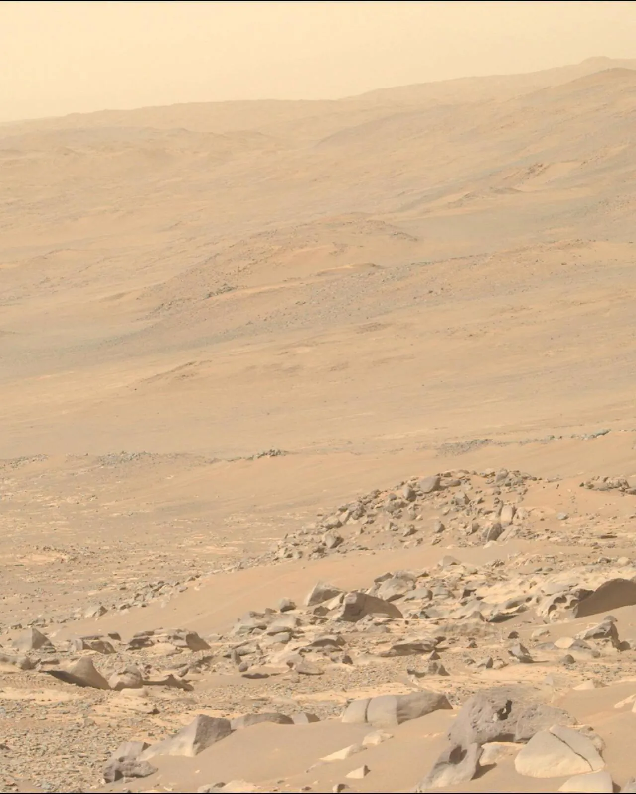 NASA가 공개한 가장 최근 화성 표면 사진