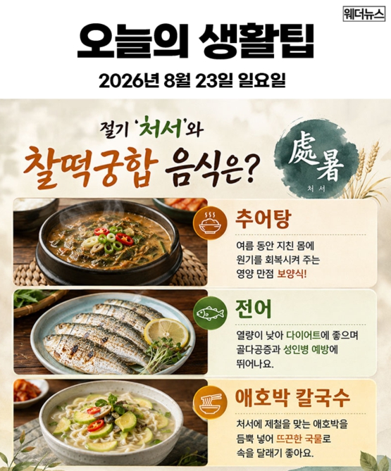 23일 생활꿀팁  