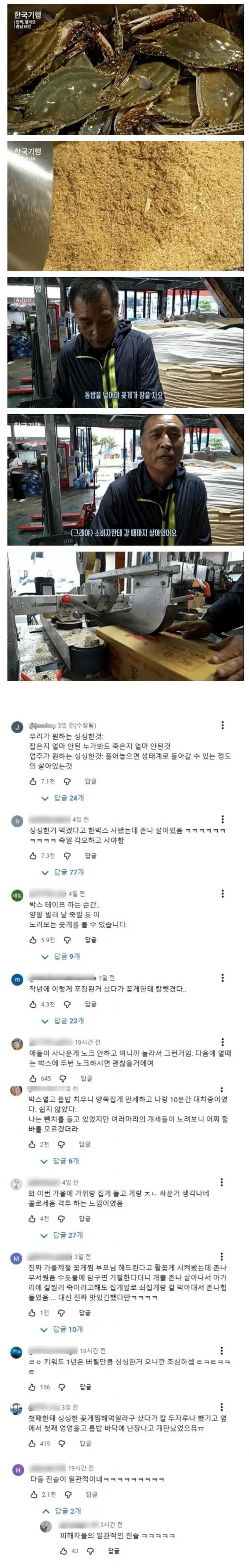 톱밥 꽃게 씻다가 봉변당한 후기 썰