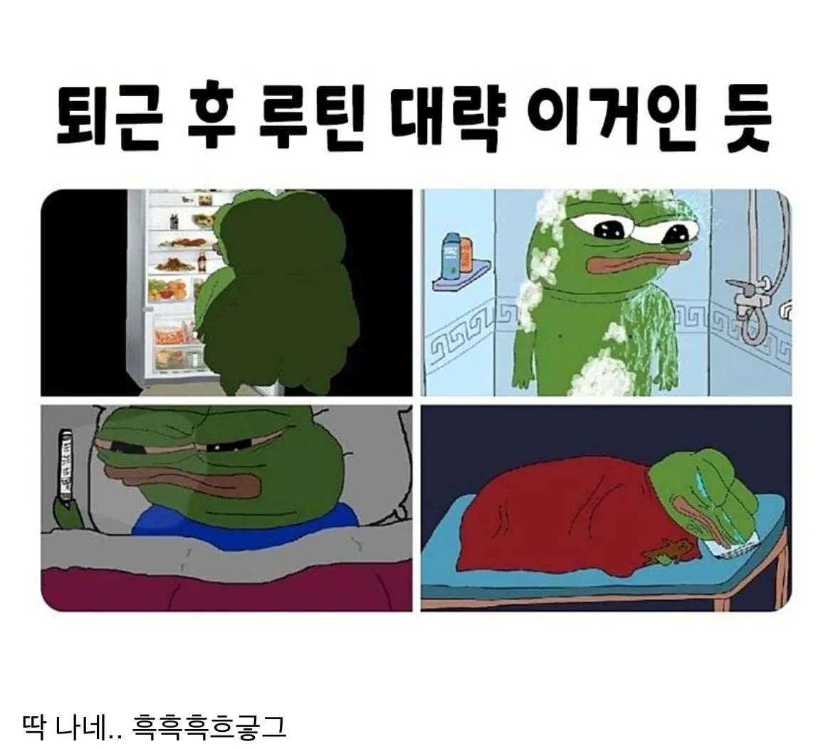 전 세계 모든 직장인들 퇴근 후 100% 공감하는 국룰 루틴 4단계 썰