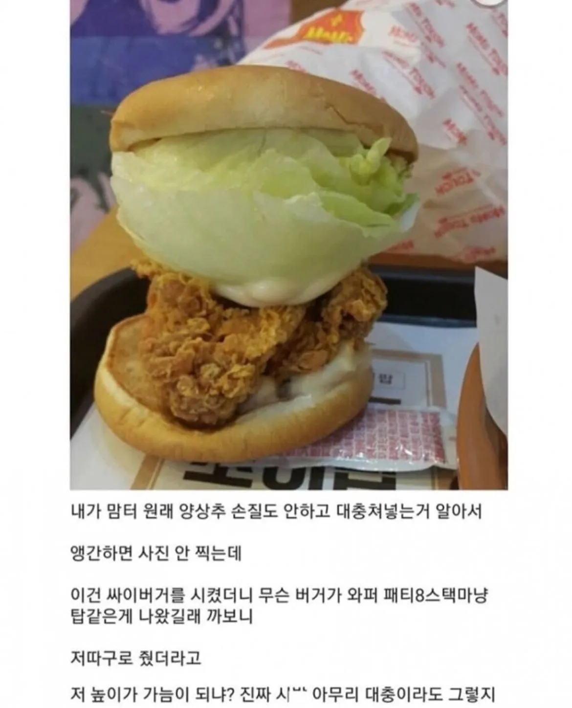 역대급 비주얼의 싸이버거