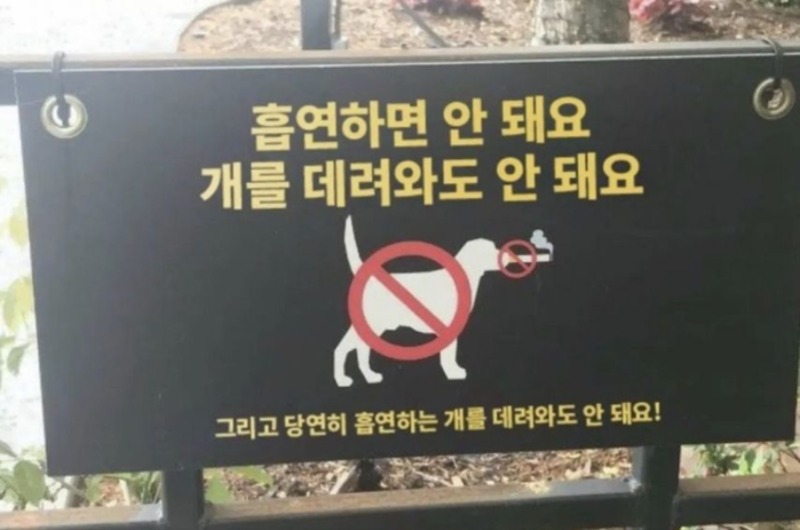 흡연하는 개