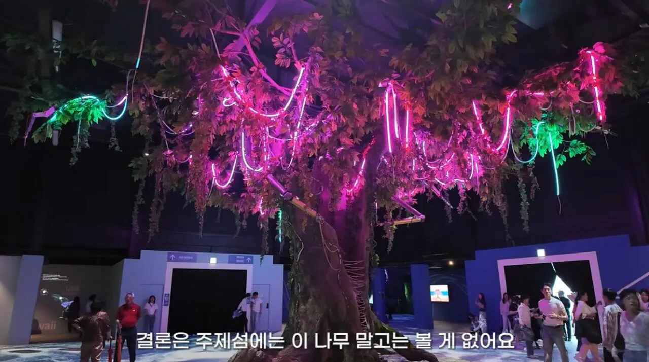 여수국제 섬박람회에 갔다가 실망한 유튜버