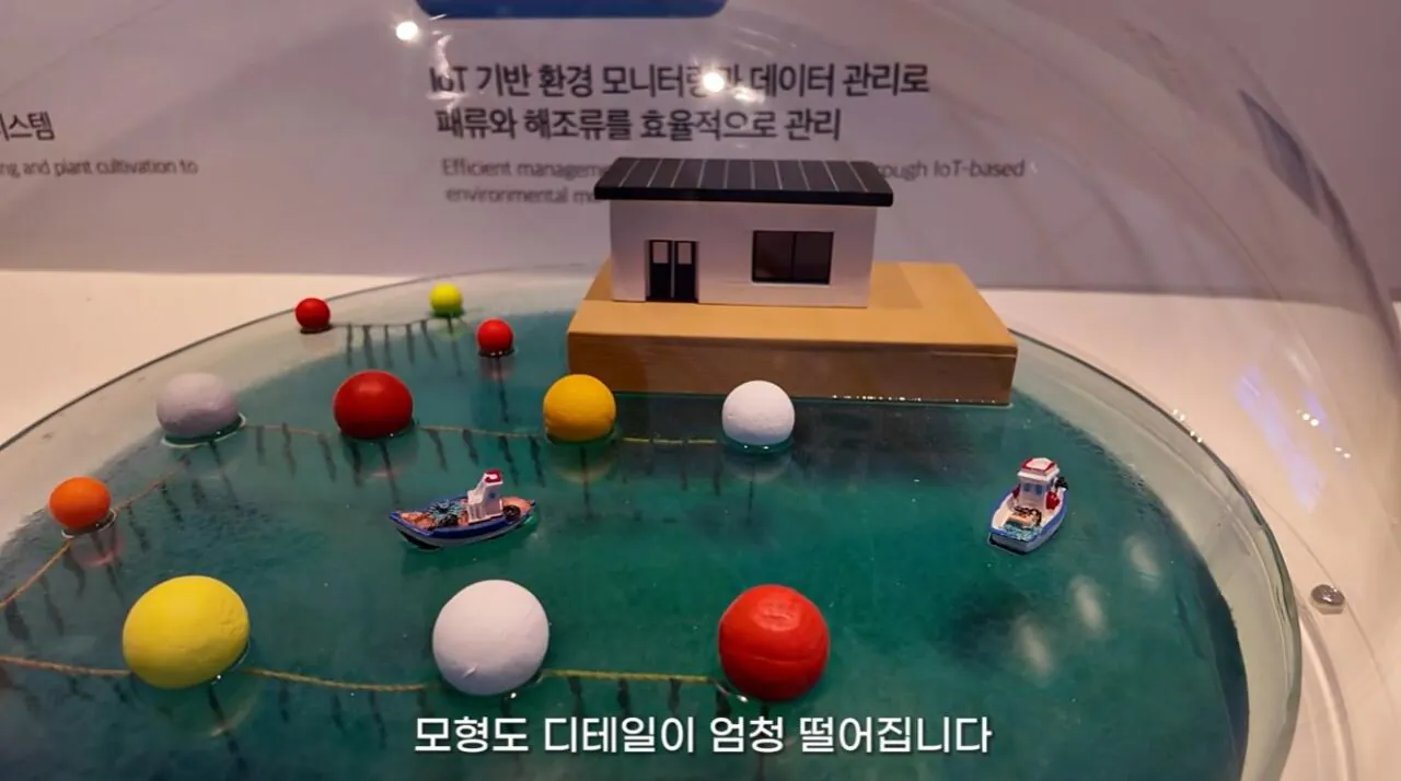 여수국제 섬박람회에 갔다가 실망한 유튜버