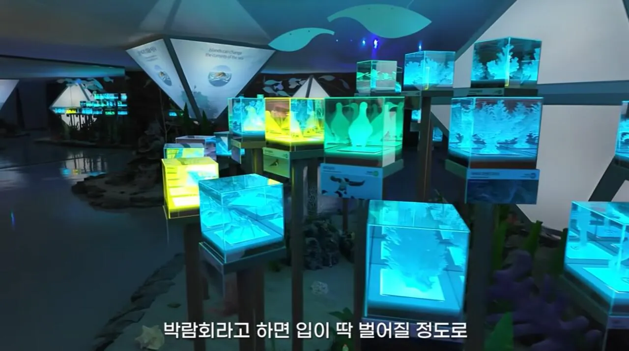 여수국제 섬박람회에 갔다가 실망한 유튜버