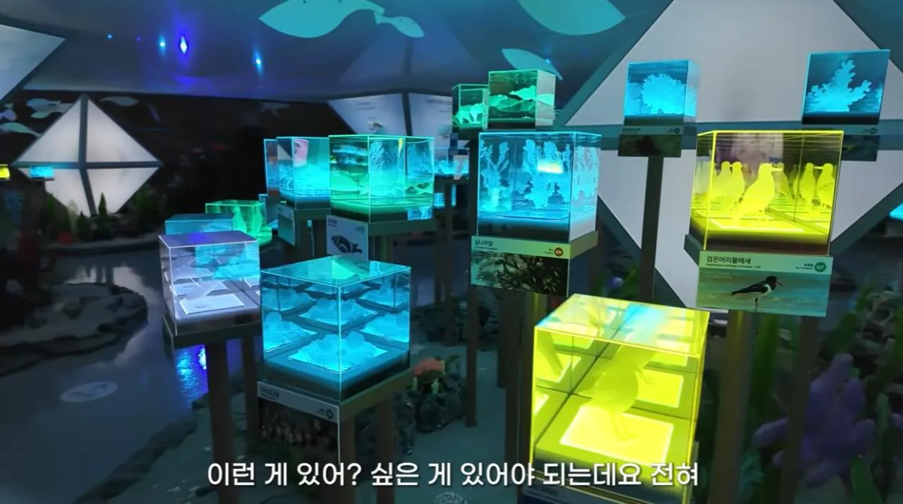 여수국제 섬박람회에 갔다가 실망한 유튜버