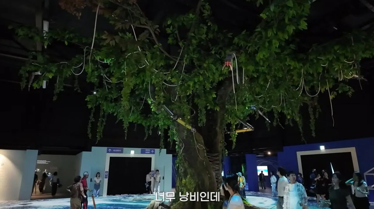 여수국제 섬박람회에 갔다가 실망한 유튜버