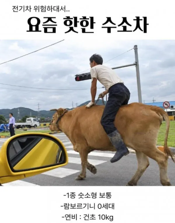 전기차 불안해서 수소차로 넘어간 후기