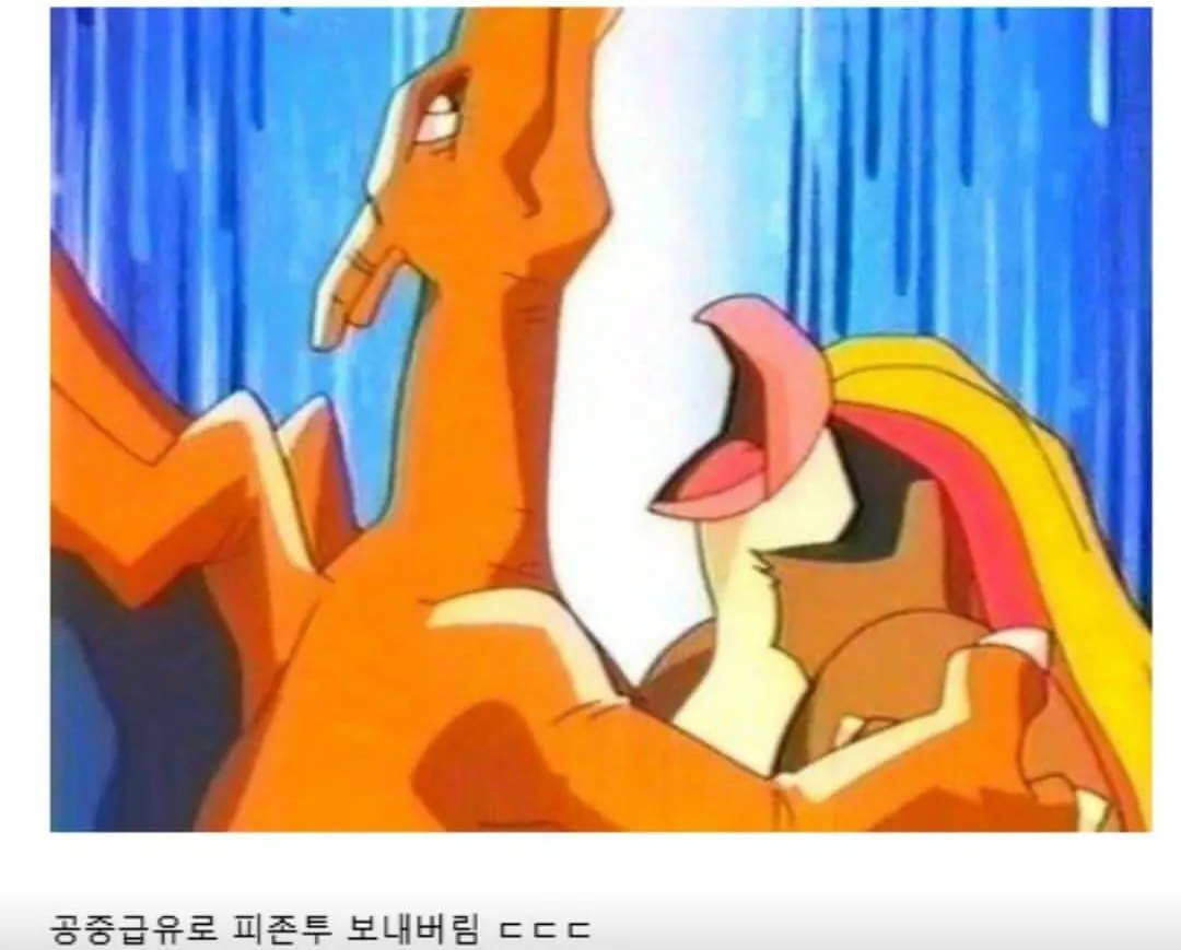 리자몽 인기 많은 이유