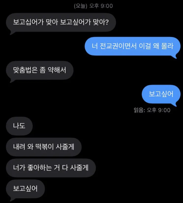 보고십어가 맞아 보고싶어가 맞아?
