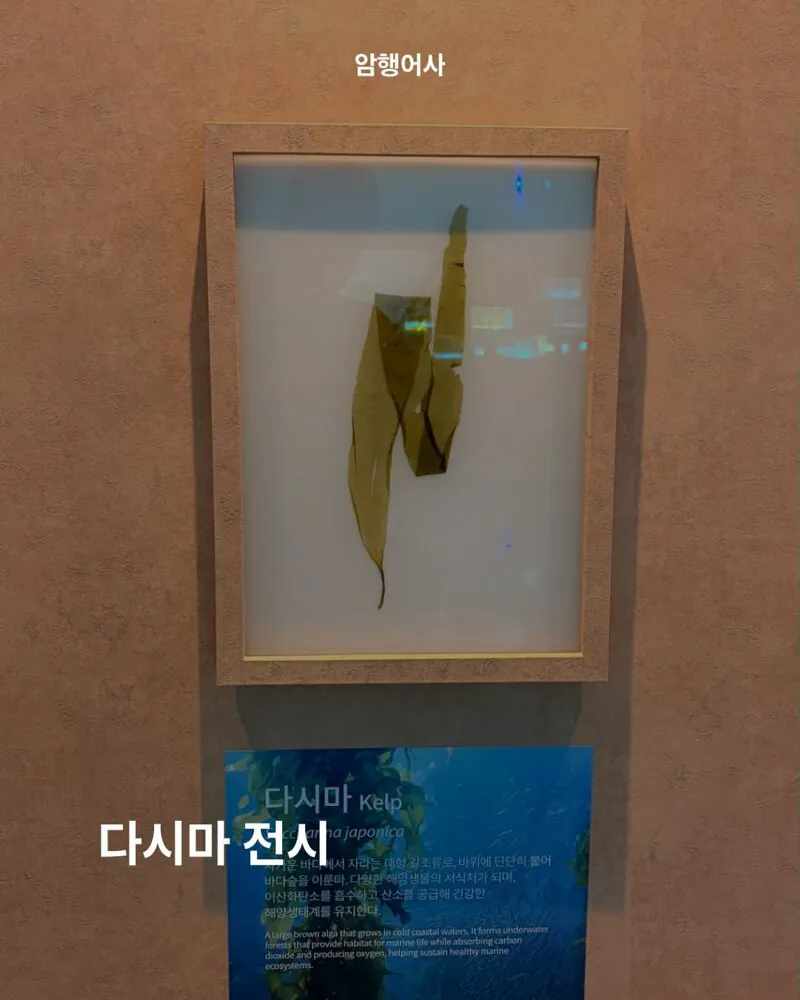 700억 예산 여수 섬박람회 볼거리 근황