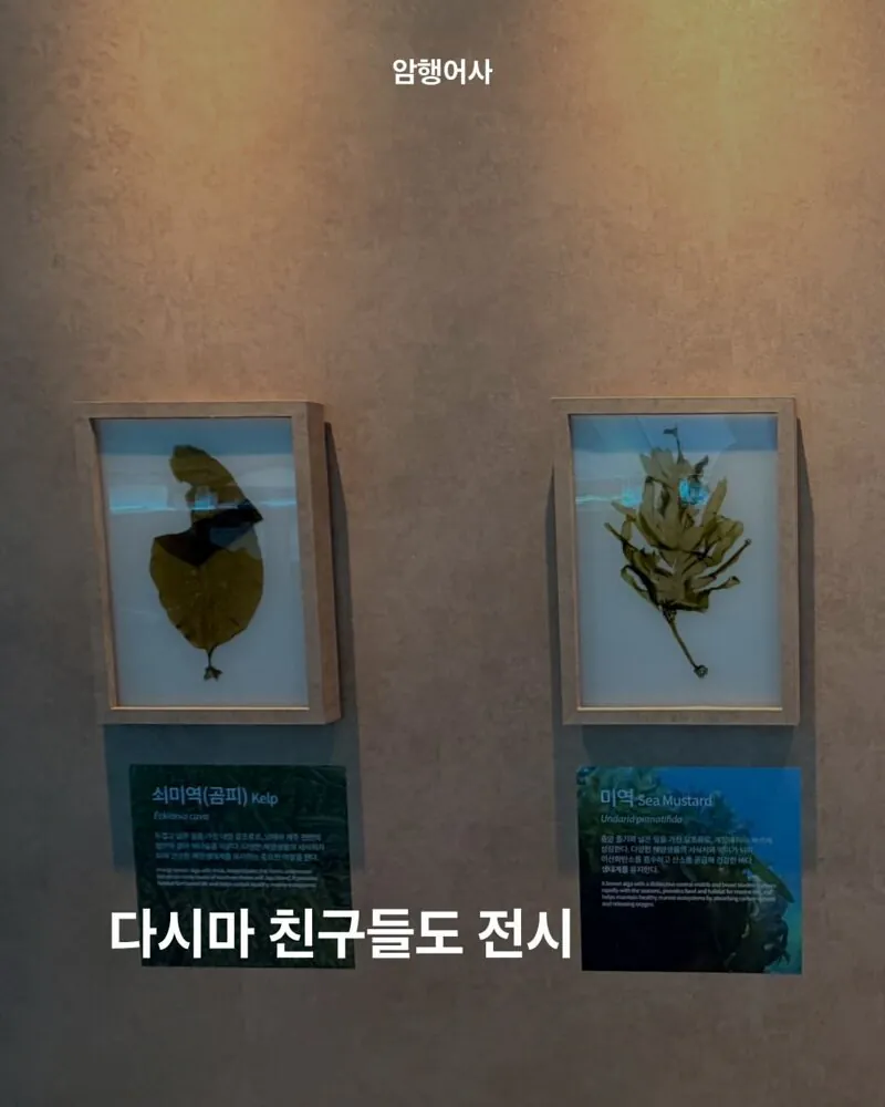 700억 예산 여수 섬박람회 볼거리 근황