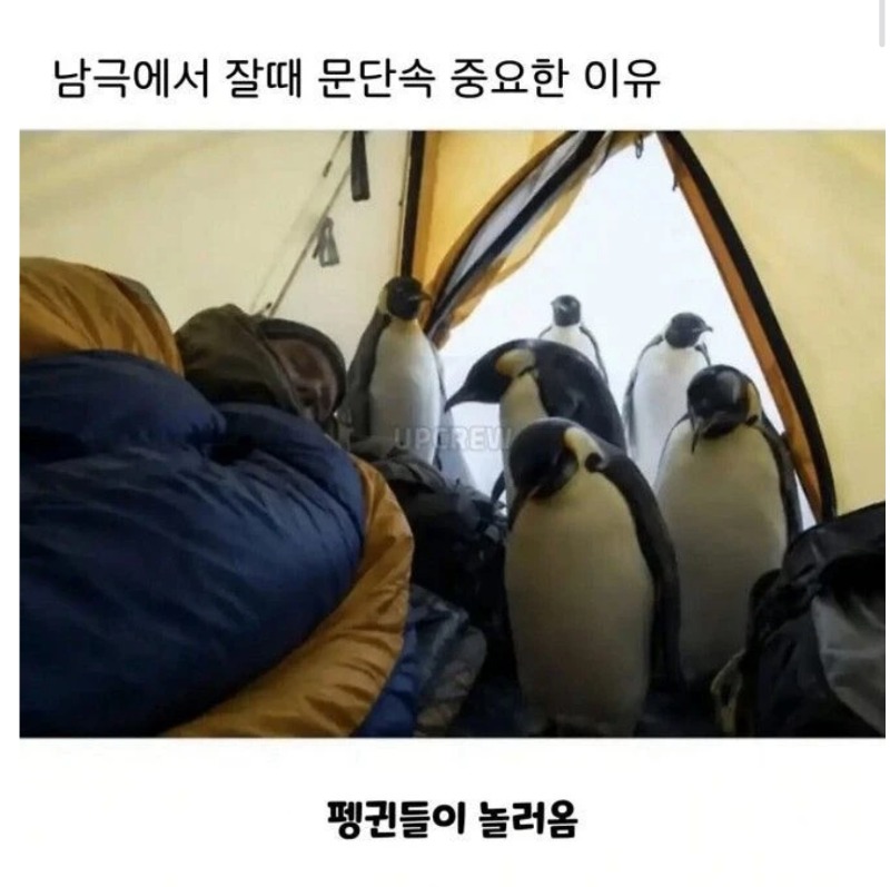  남극에서 문단속해야하는 이유