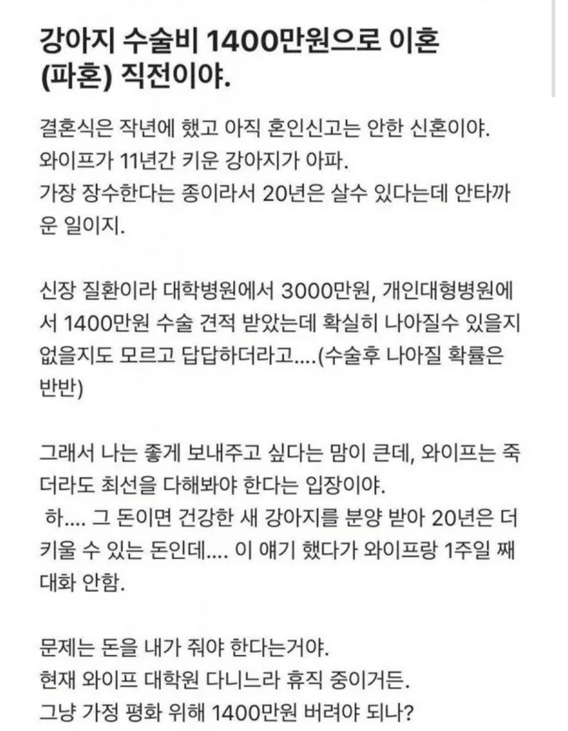 강아지 수술비