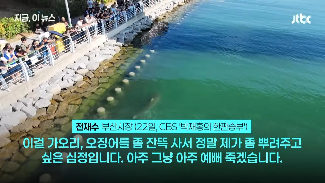 관광객 끌어모은 상어한테 진심으로 감동받은 부산시장 ㄷㄷ