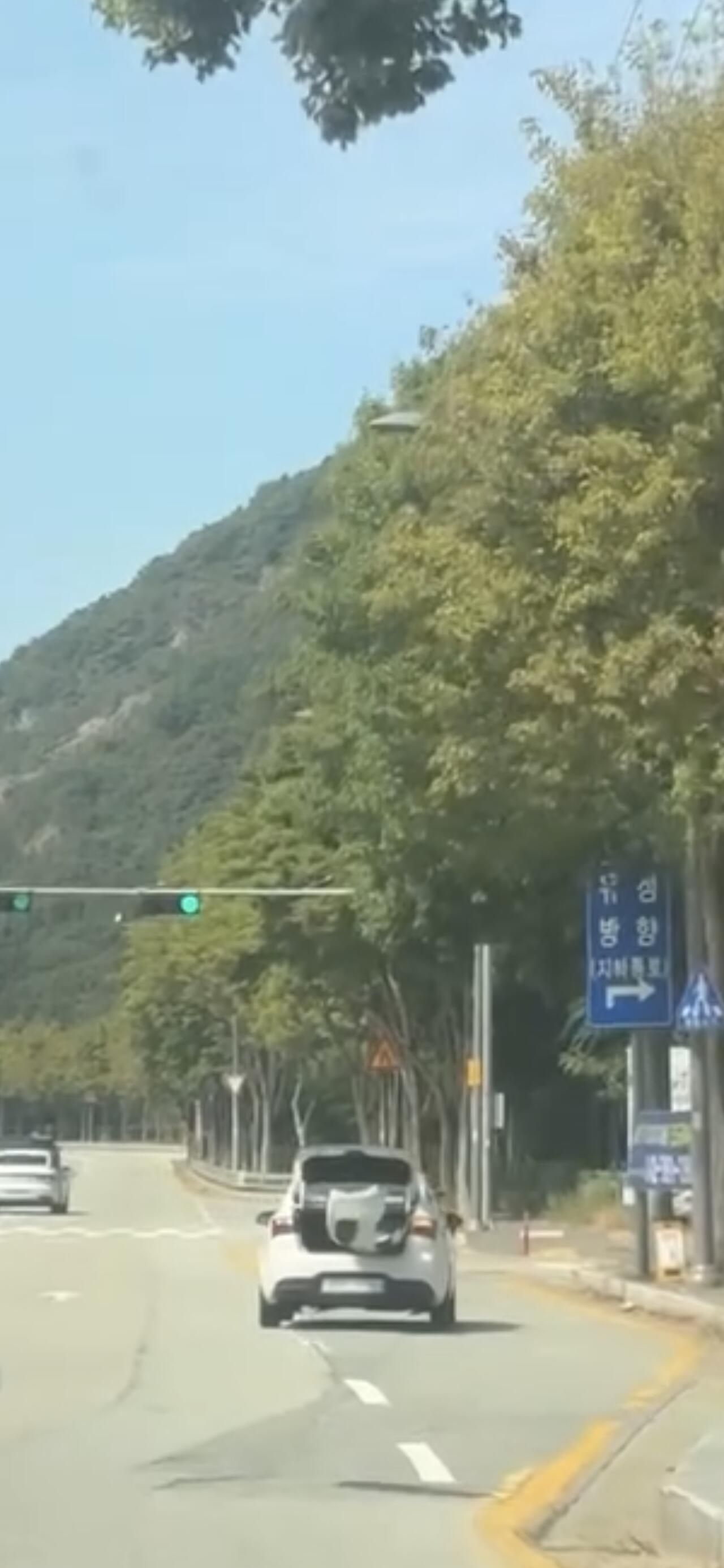 범퍼 떨어지자 트렁크에 쑤셔 넣고 그냥 달리는 추석 도로 레전드