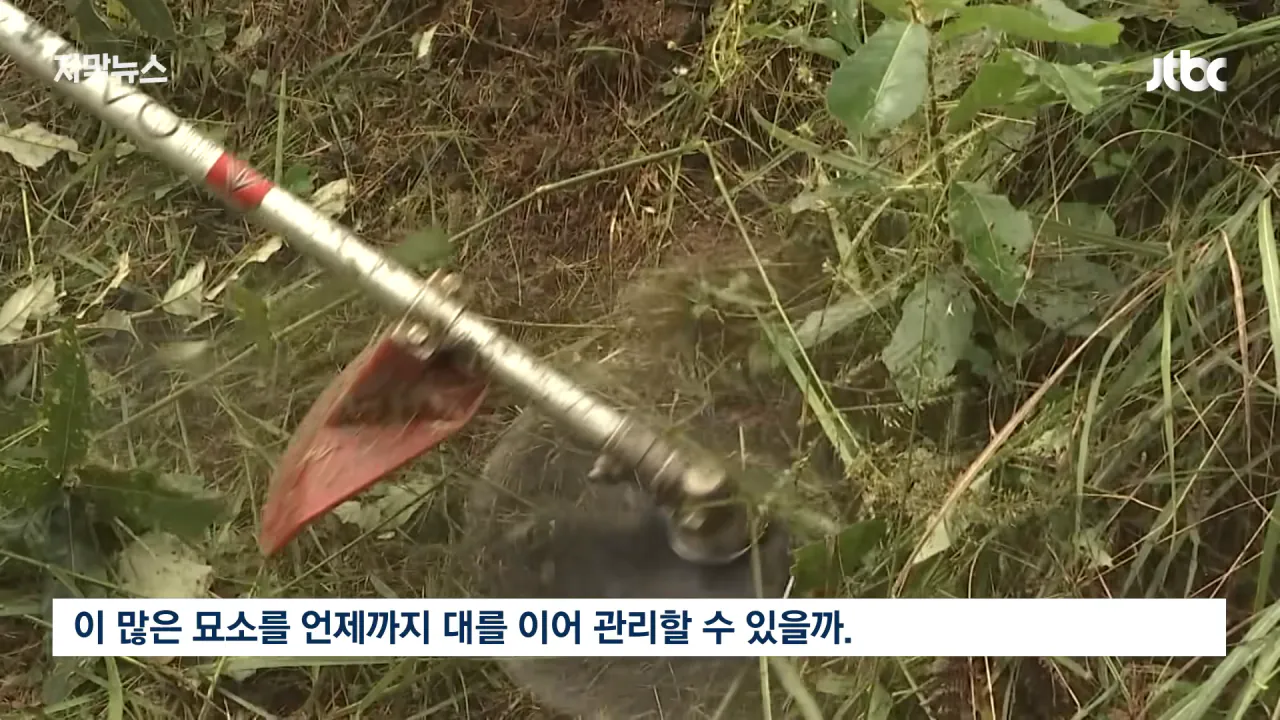  성묘 벌초에 고심하던 600년 종가의 결단 ㄷㄷㄷ
