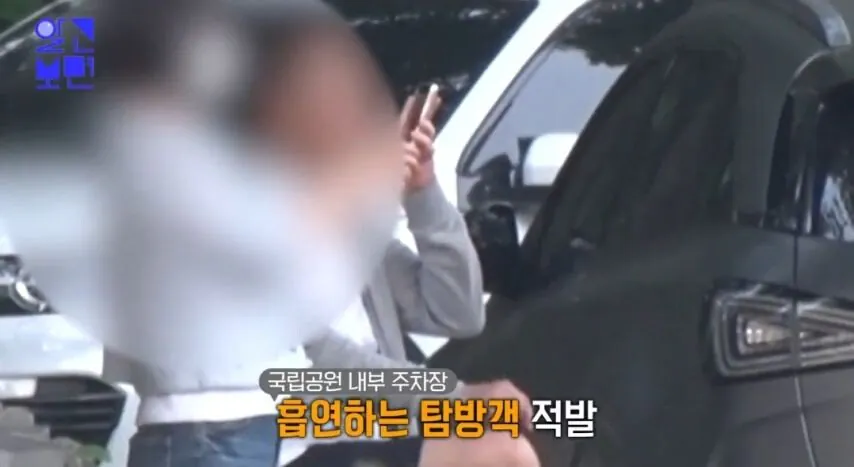 국립공원에서 담배 피우다 걸린 흡연자 인터뷰