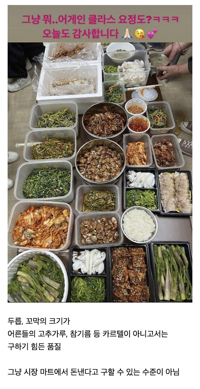 한때 논란이 됐던 송가인 서포트 도시락