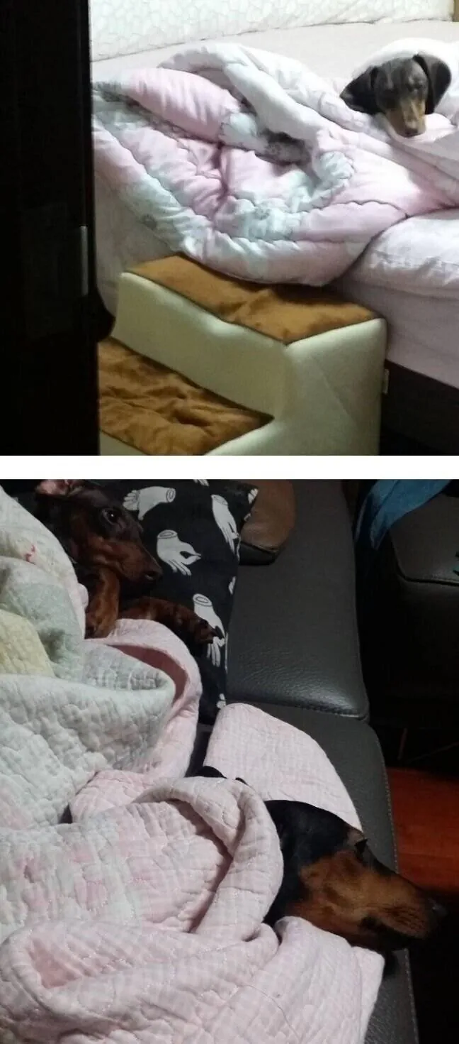 개쩌는 박재범 안경 브랜드