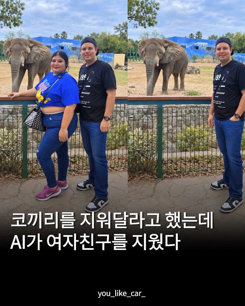 코끼리좀 지워줘
