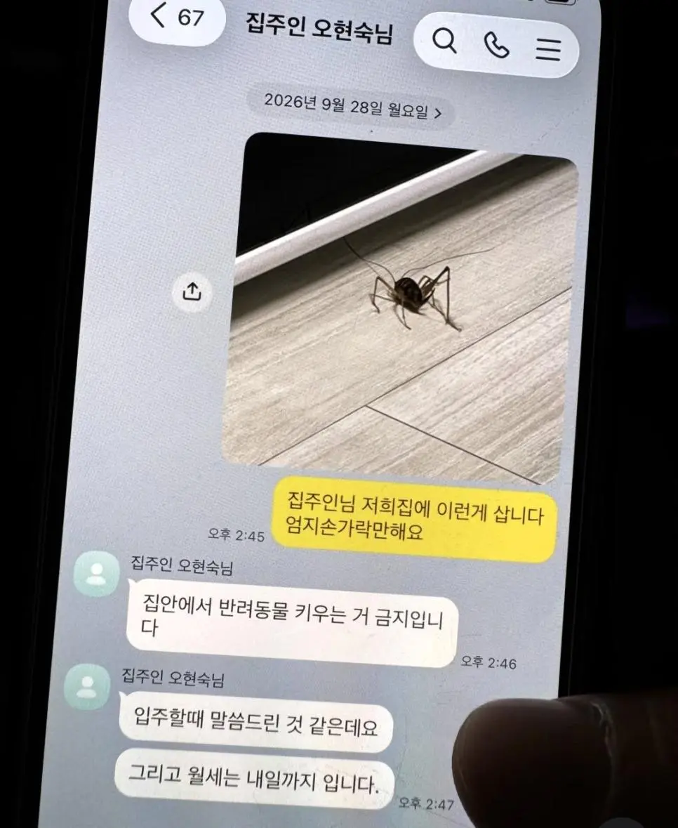 집에서 반려동물 키우다 걸린 세입자 ㄷㄷ