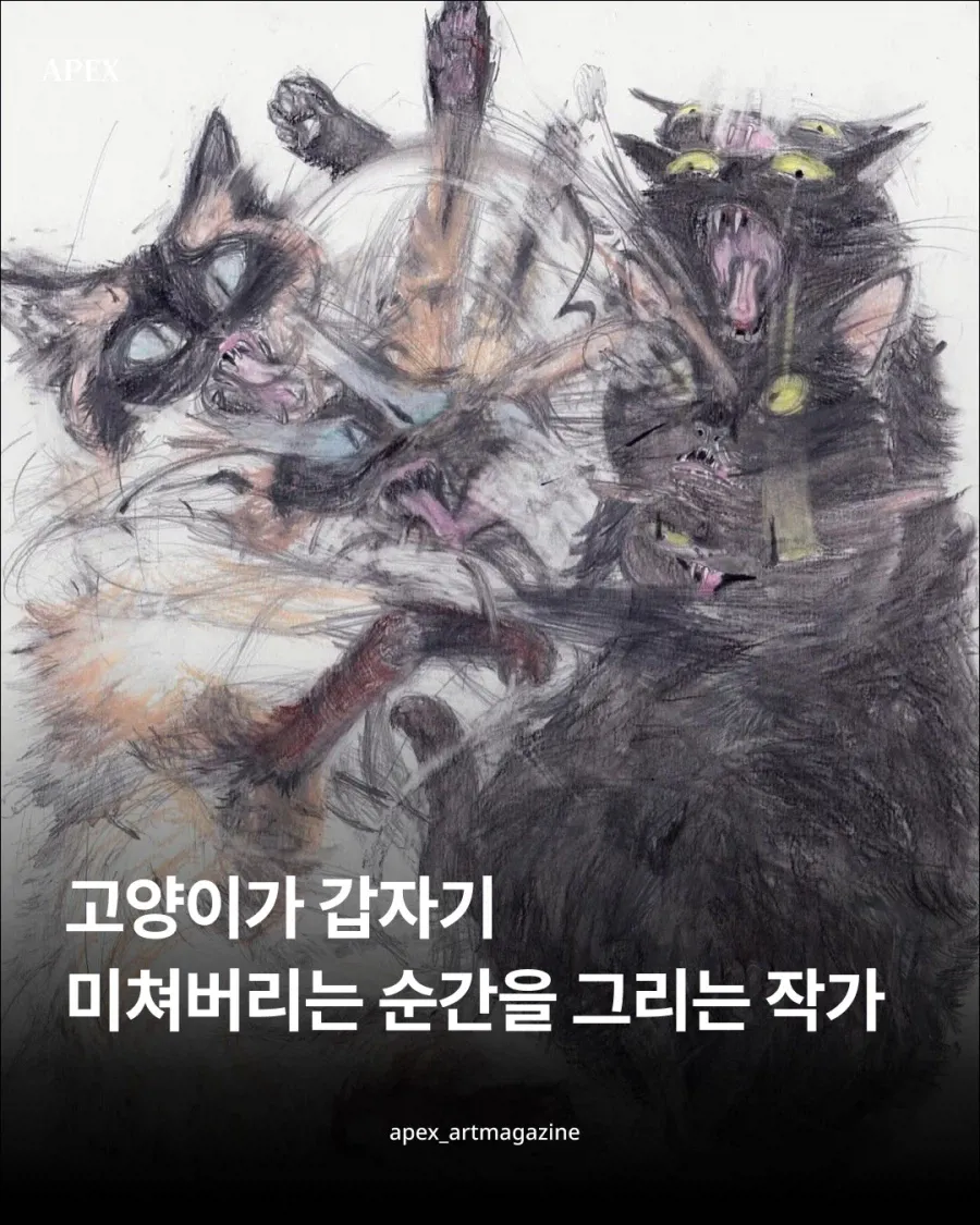 프랑스 작가의 핫한 고양이 그림