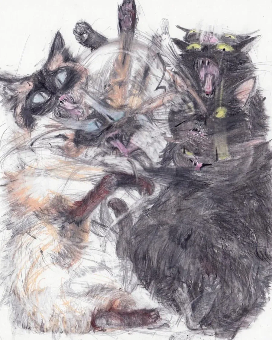 프랑스 작가의 핫한 고양이 그림