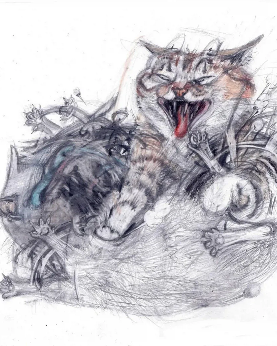 프랑스 작가의 핫한 고양이 그림