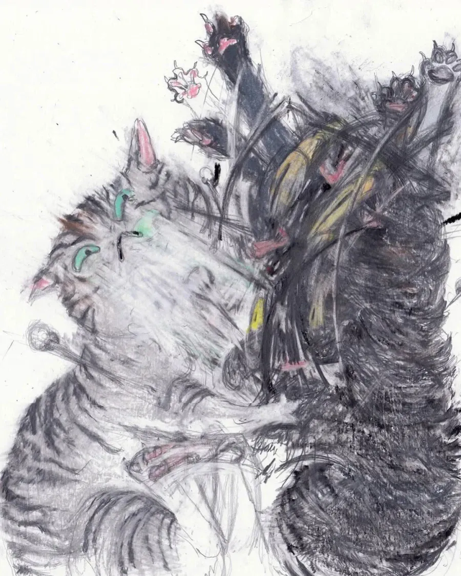 프랑스 작가의 핫한 고양이 그림