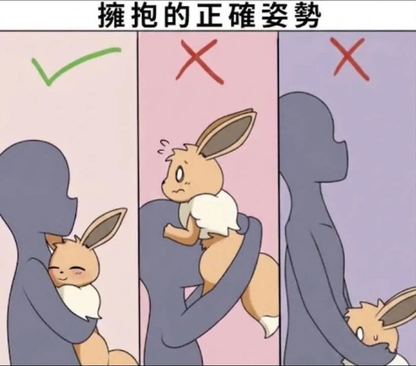이브이를 제대로 다루는 방법