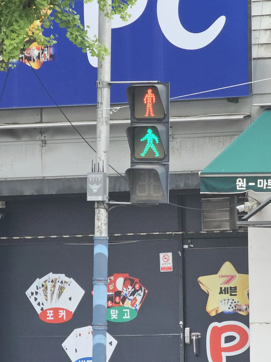 길 건너기 난감한 상황