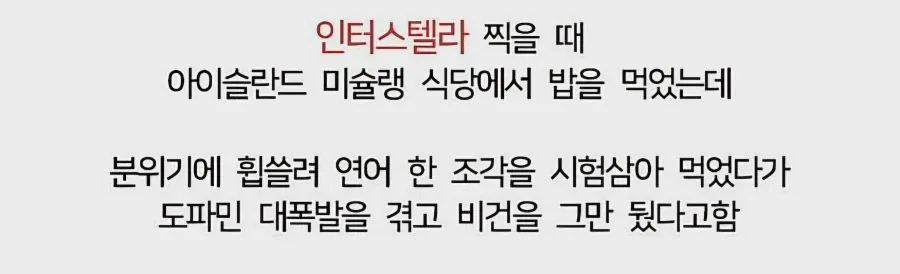 앤 해서웨이 비건 포기한 인터뷰