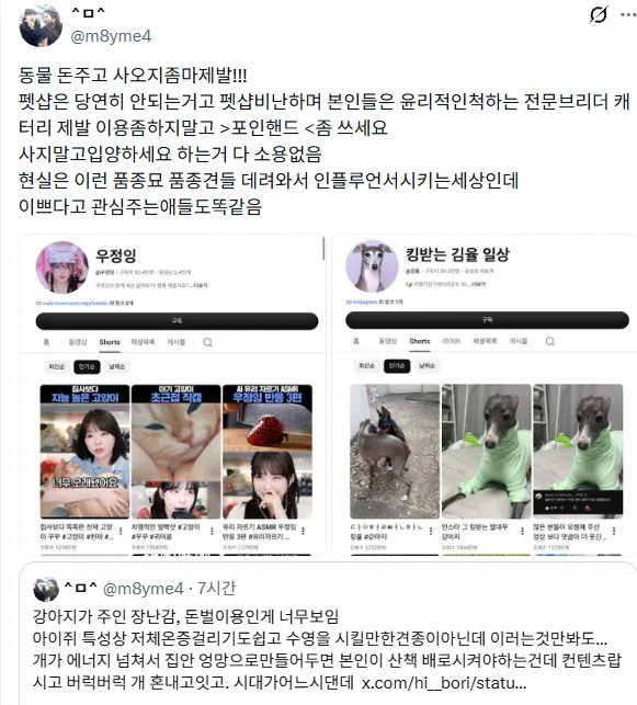 유튜버 우정잉과 킹율 채널에 대한 품종견 및 컨텐츠화 논란