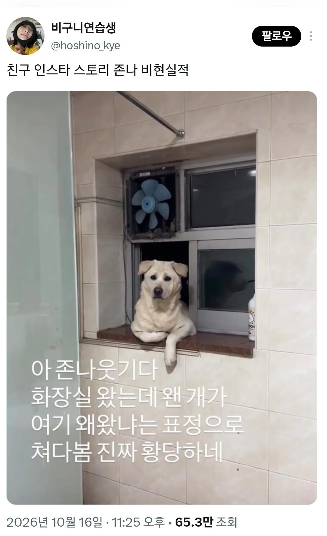 친구 인스타 스토리 존나 비현실적