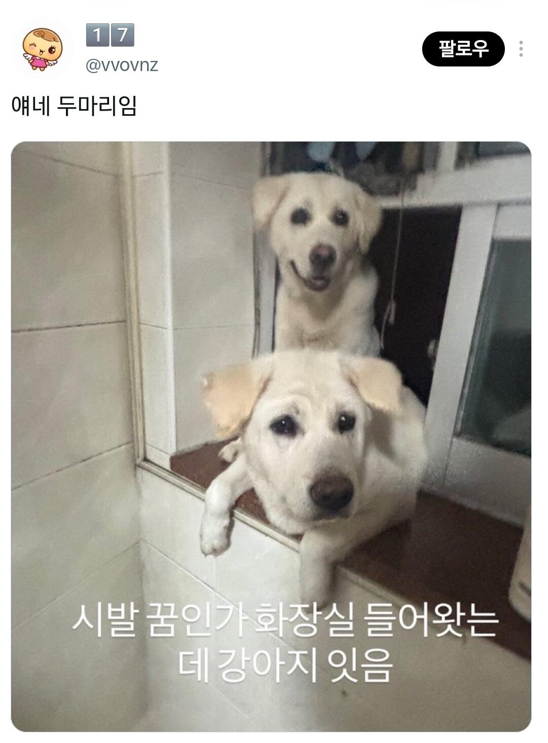 친구 인스타 스토리 존나 비현실적