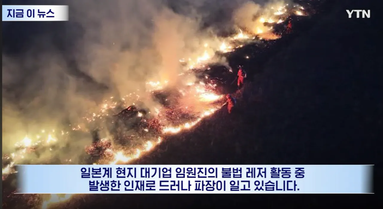 몽골에서 대형사고 친 일본근황